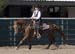 _MG_0064C