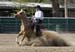 _MG_0360C