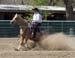 _MG_0361C