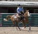 _MG_0386C