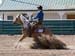 _MG_0388C
