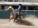 _MG_0392C