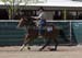 _MG_0563C
