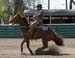 _MG_0603C